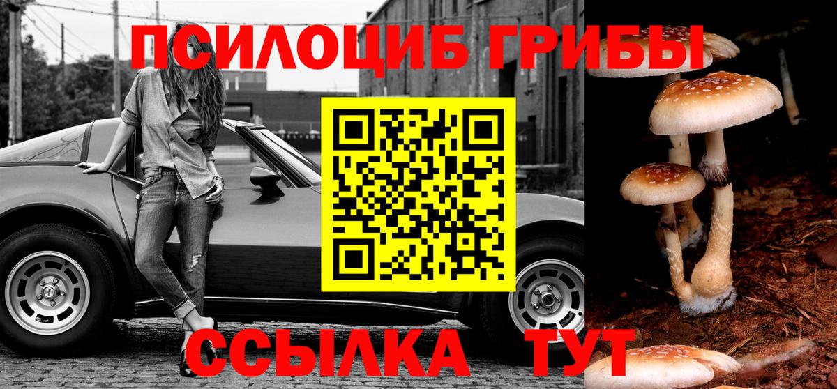 Галлюциногенные грибы GOLDEN TEACHER  Псилоцибиновые грибы мицелий  Вход с VPN  Берёзовский 