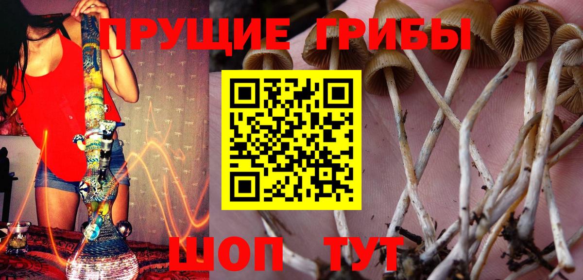 Псилоцибиновые грибы ЛСД Берёзовский