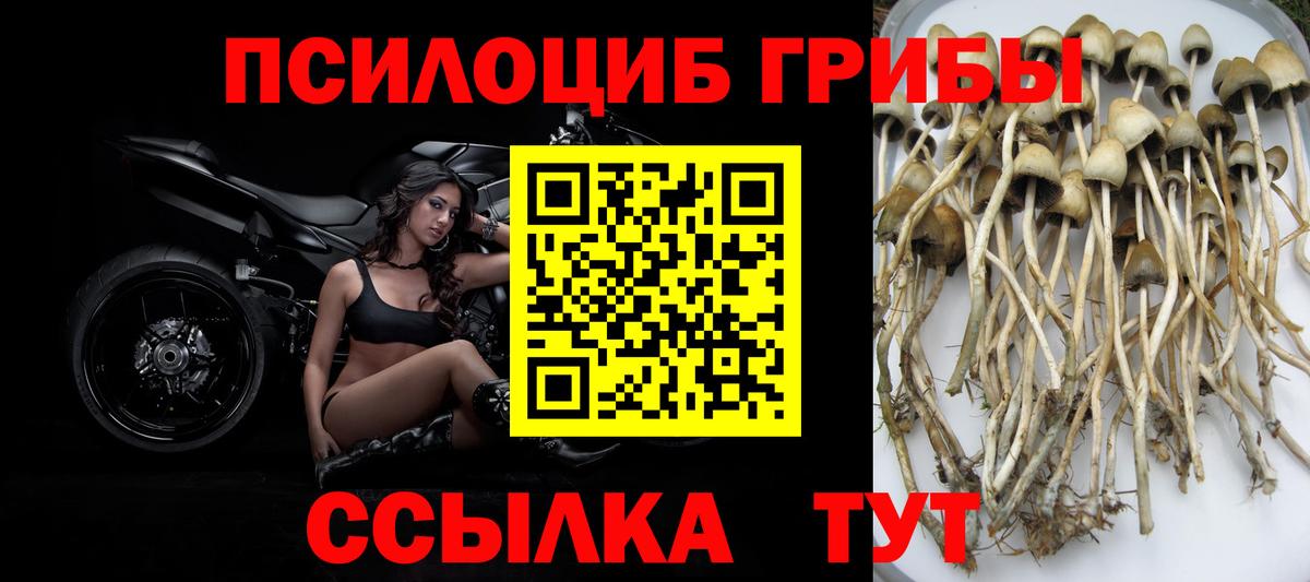 Галлюциногенные грибы ЛСД  Берёзовский 